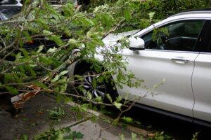 pourquoi assurer sa voiture tous risques ?